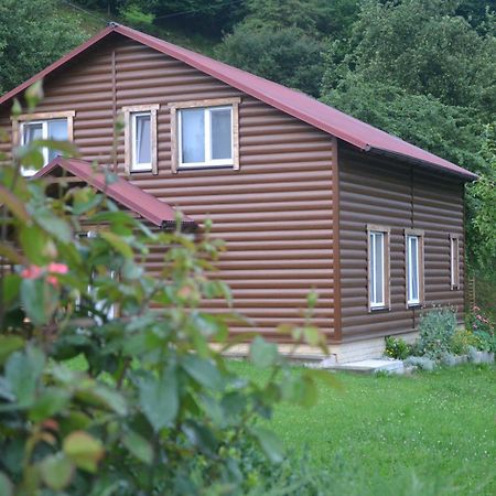 Pid Lisochkom Verhovîna Exterior foto