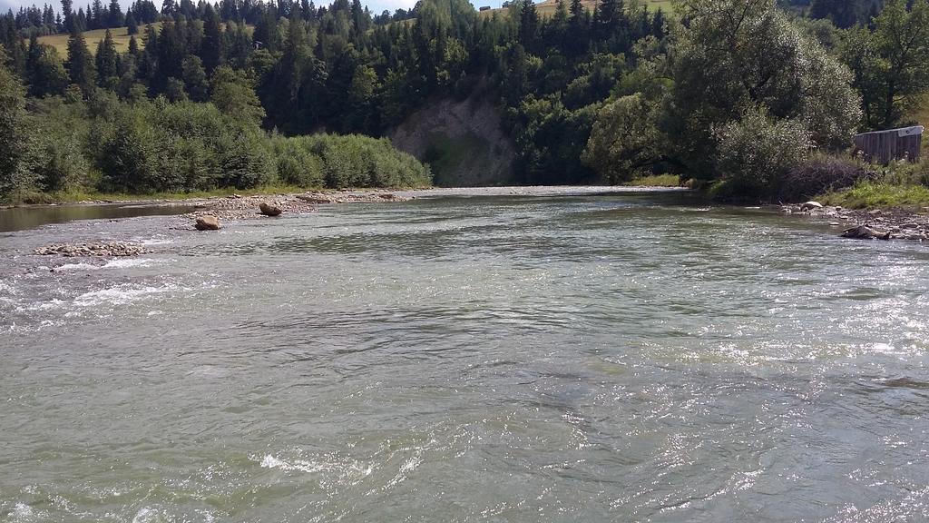 Pid Lisochkom Verhovîna Exterior foto