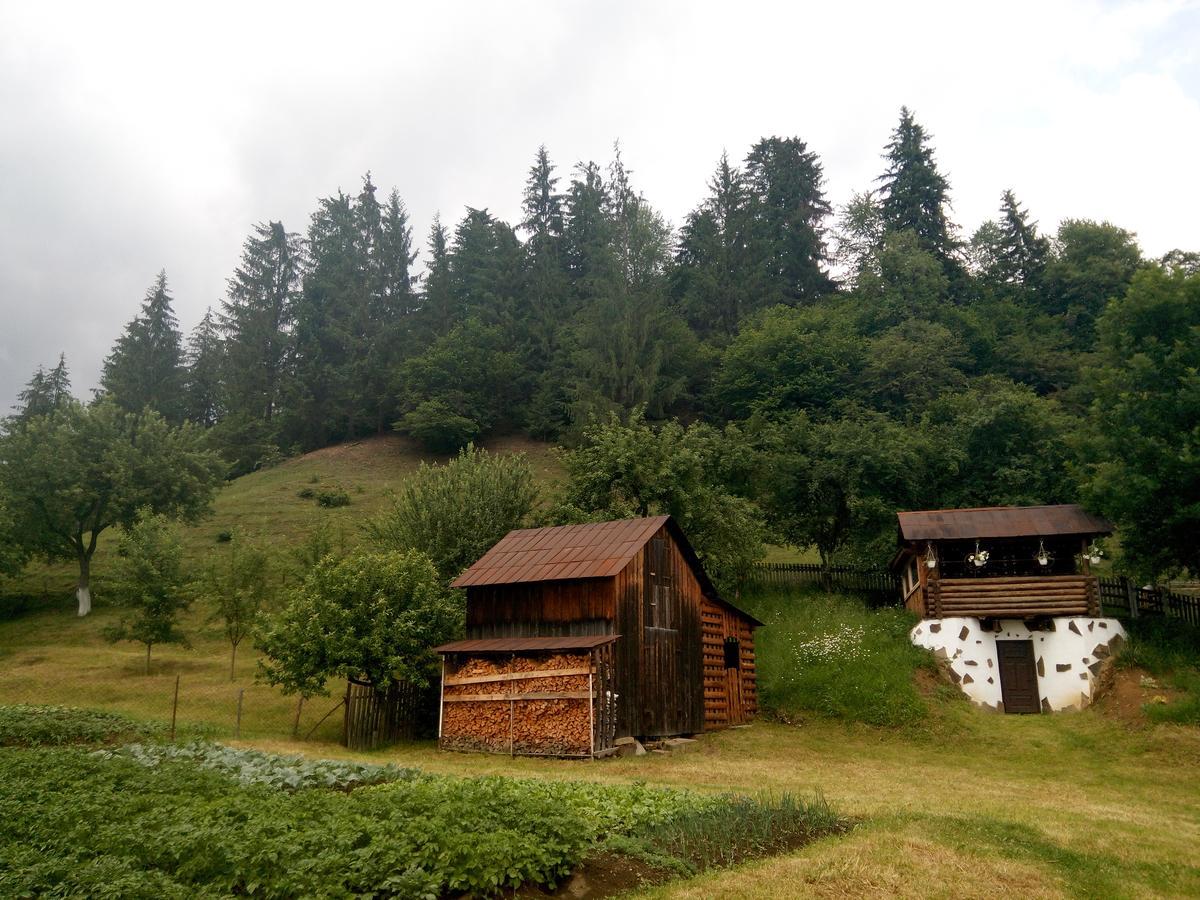 Pid Lisochkom Verhovîna Exterior foto